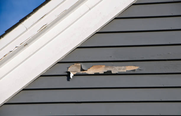 Best Vinyl Siding Installation  in Eagle Lake, WI